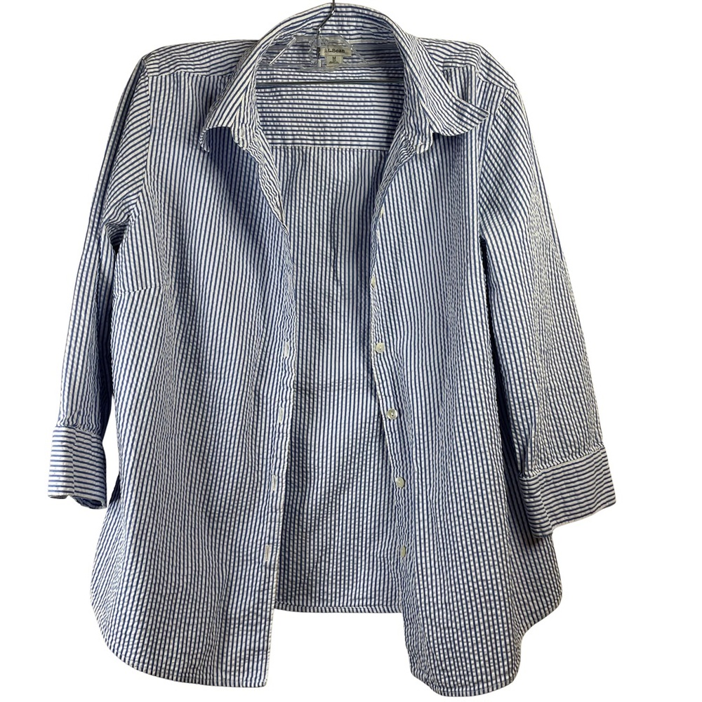 L.L. Bean Blue and White Striped Shirt